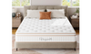 Vesgantti 10.2 Inch Hybrid Mattress with Breathable Foam and Individually Pocket Spring - Edge Support & Motion Isolation, Medium Firm Mattress