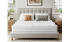 Vesgantti  Nova Vita Hybrid Mattress -24cm-Medium Firm