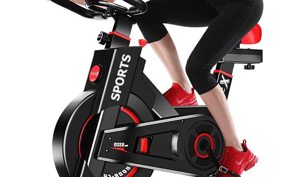 flywheel sports bike|Dripex-robustsport.com