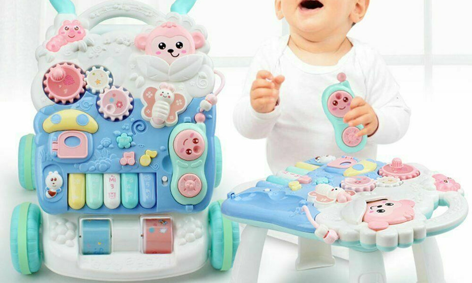 Baby Boys Girls Walker Activity Stand Learning Push Along First Steps Pram Toys